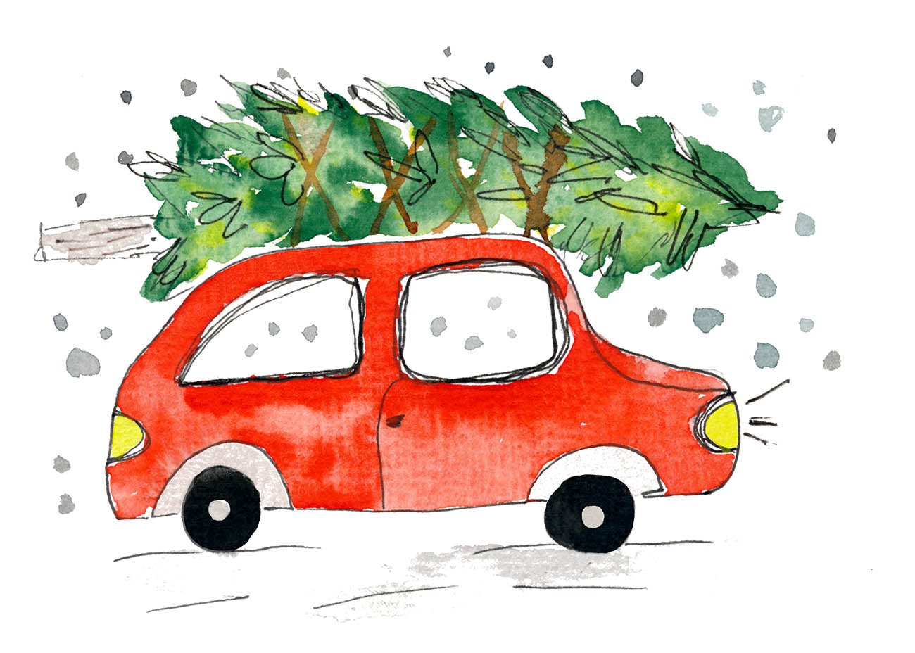 03. Dezember 2023 - 11 Uhr winter- & weihnachtlicher florales Aquarellmalen