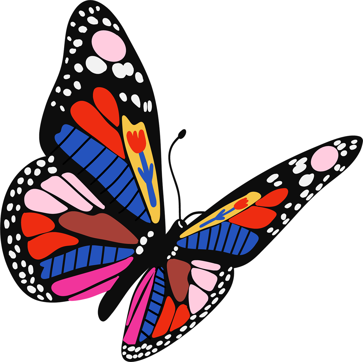 25. August 2024 - SEMINAR - Entfessle deine eigene kreative Stimme - Von der Raupe zum Schmetterling